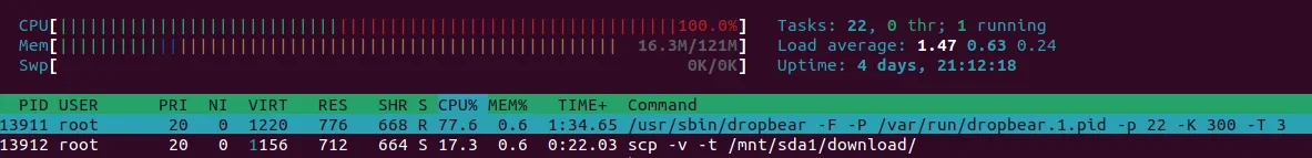 The htop view while running SCP