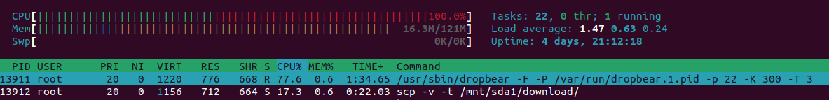 The htop view while running SCP